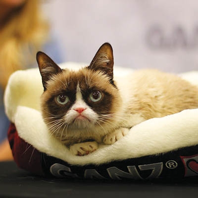 “Be there, or else.” —Grumpy Cat